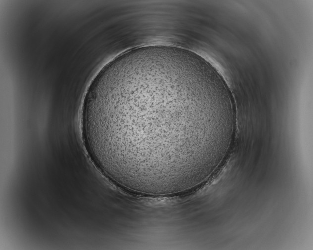 X0000096690949200802191425