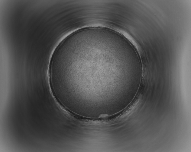 X0000096690951200802191425