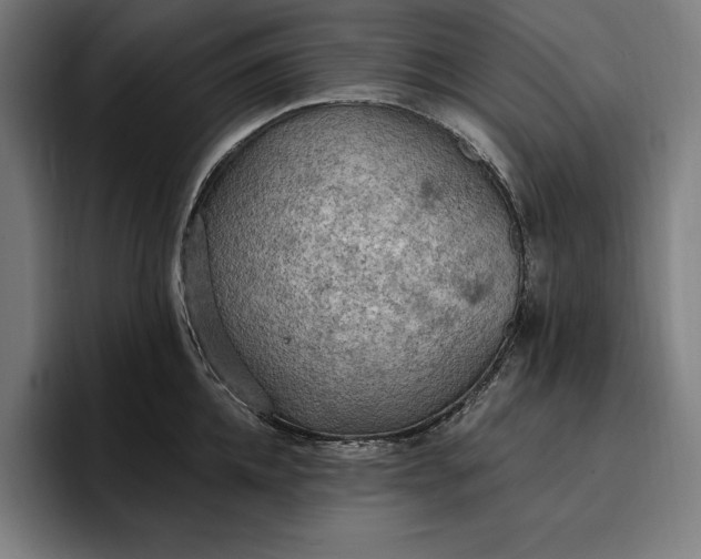 X0000096690952200802191425