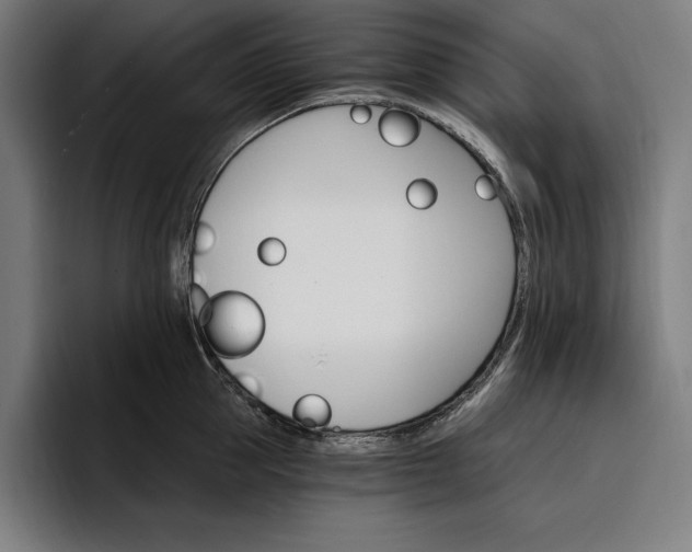 X0000096690953200802191425