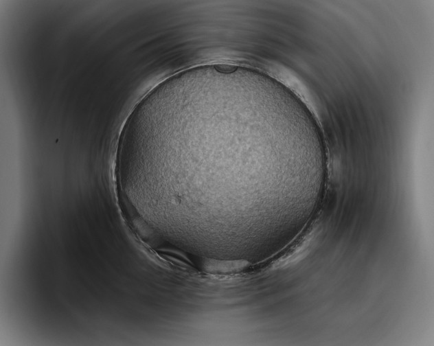 X0000096690954200802191425