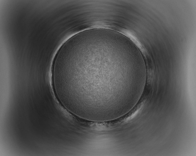 X0000096690955200802191425