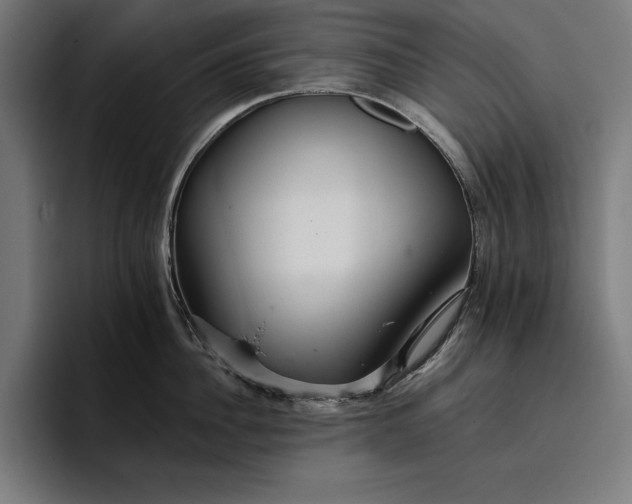 X0000096690956200802191425