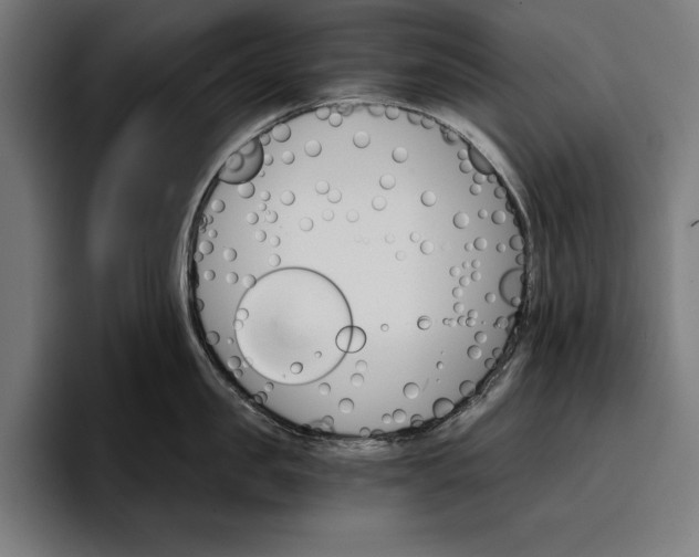 X0000096690957200802191425