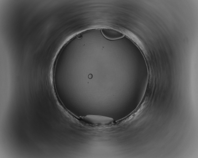 X0000096690958200802191425