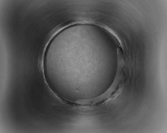 X0000096690959200802191425