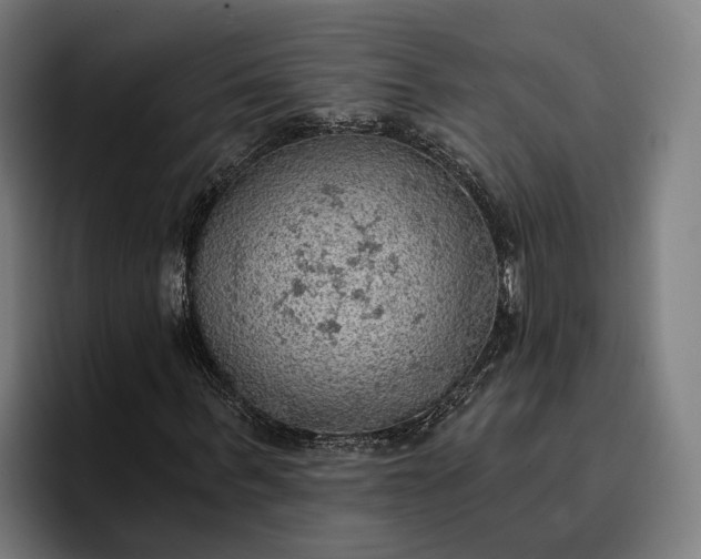 X0000096690963200802191425