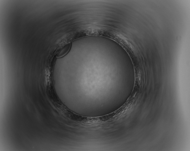 X0000096690964200802191425