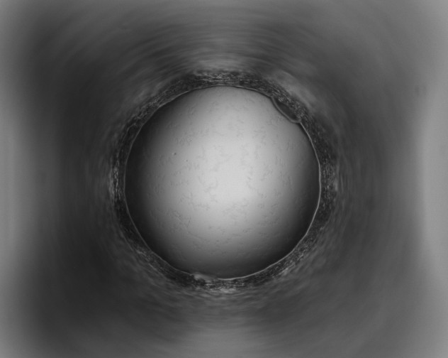 X0000096690965200802191425