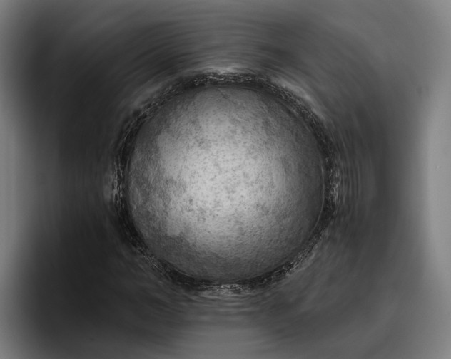 X0000096690966200802191425