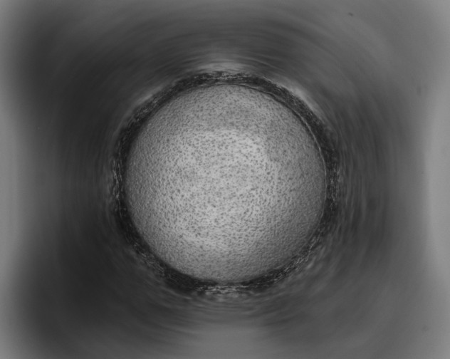 X0000096690967200802191425