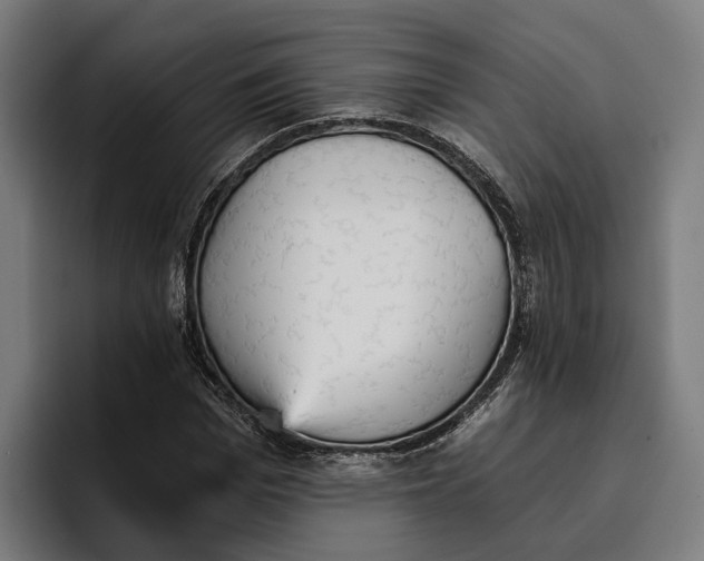 X0000096690969200802191425