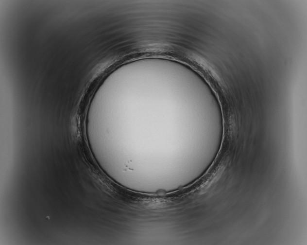 X0000096690970200802191425