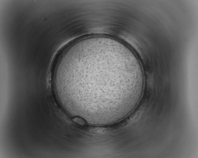 X0000096690971200802191425