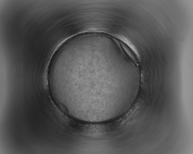 X0000096690972200802191425