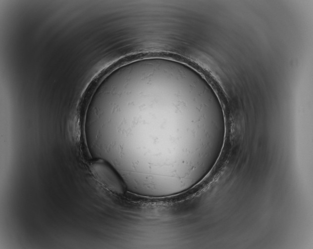 X0000096690973200802191425