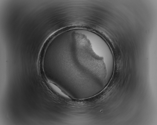 X0000096690975200802191425