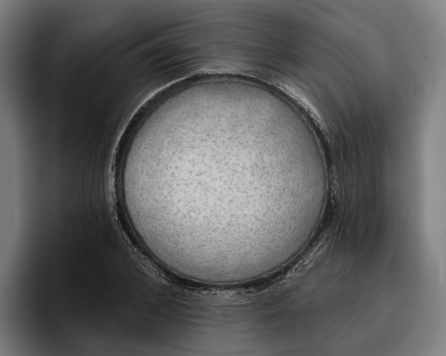 X0000096690976200802191425