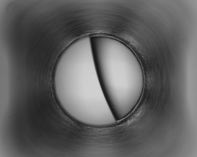 X0000096690977200802191425