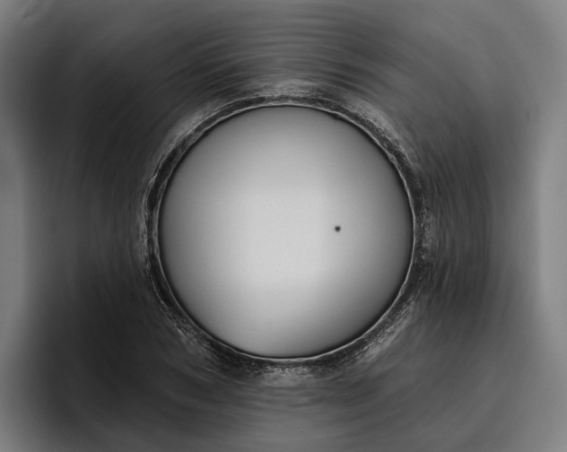 X0000096690978200802191425