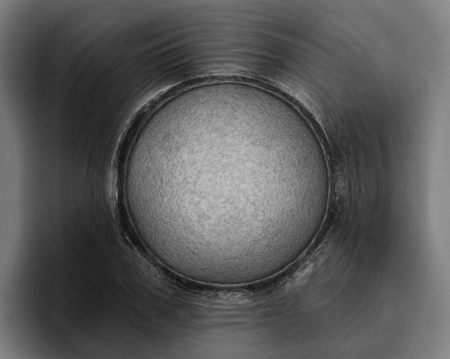 X0000096690979200802191425