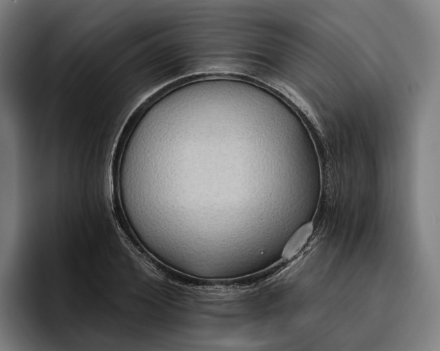 X0000096690980200802191425