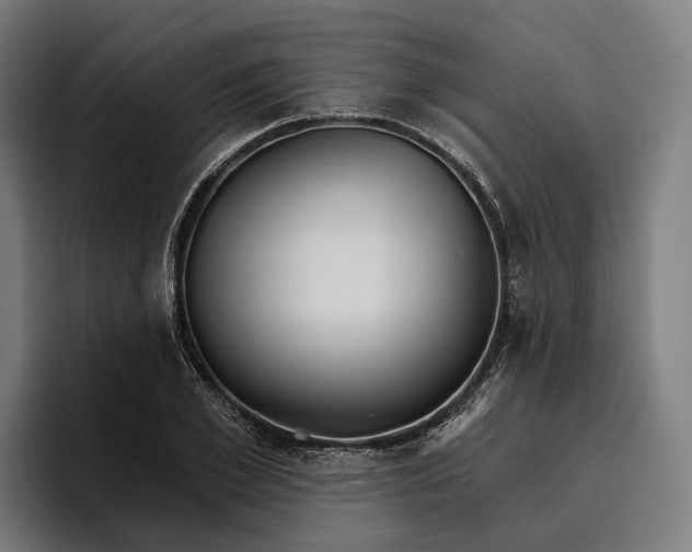 X0000096690981200802191425