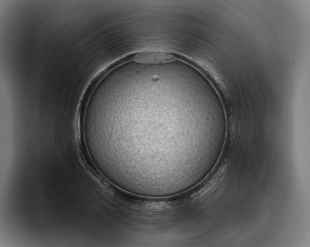 X0000096690982200802191425