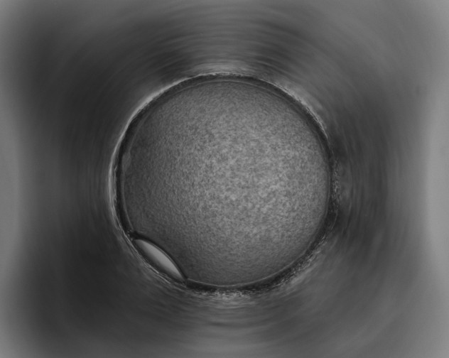 X0000096690983200802191425