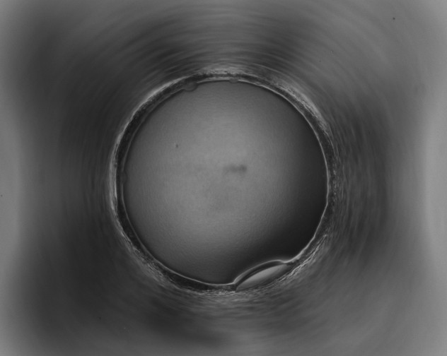 X0000096690984200802191425