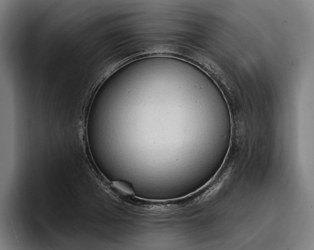 X0000096690985200802191425