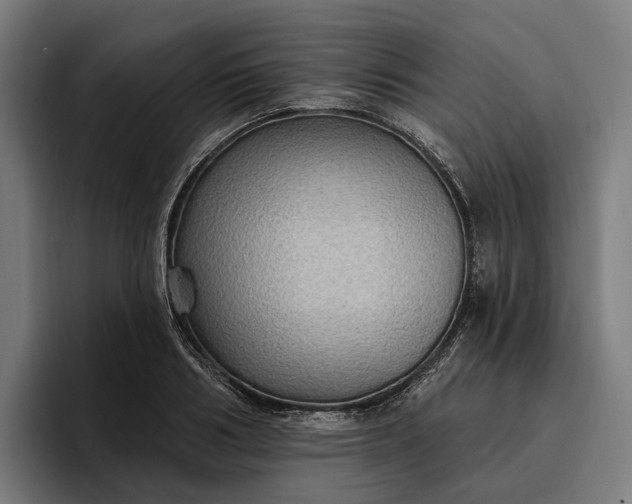 X0000096690986200802191424