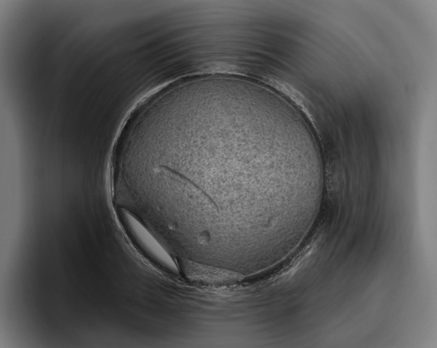 X0000096690987200802191424