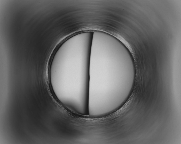 X0000096690988200802191424