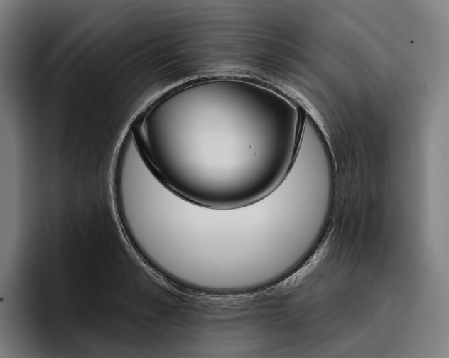 X0000096690989200802191424