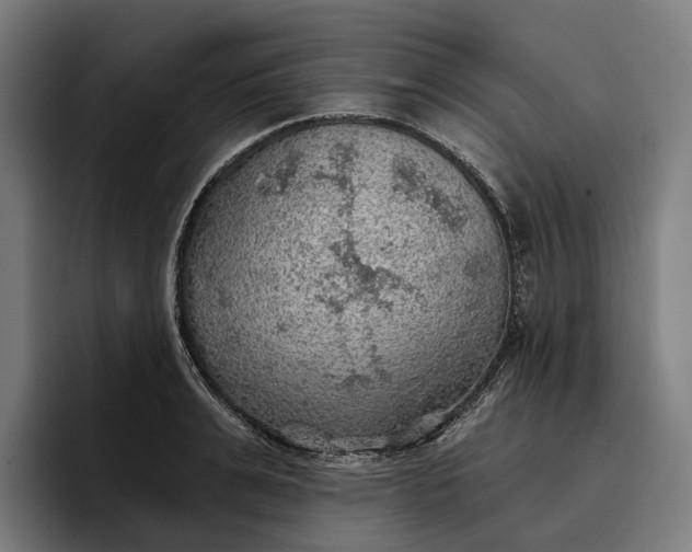 X0000096690991200802191424