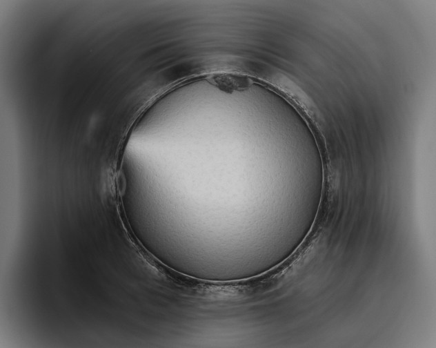 X0000096690993200802191424