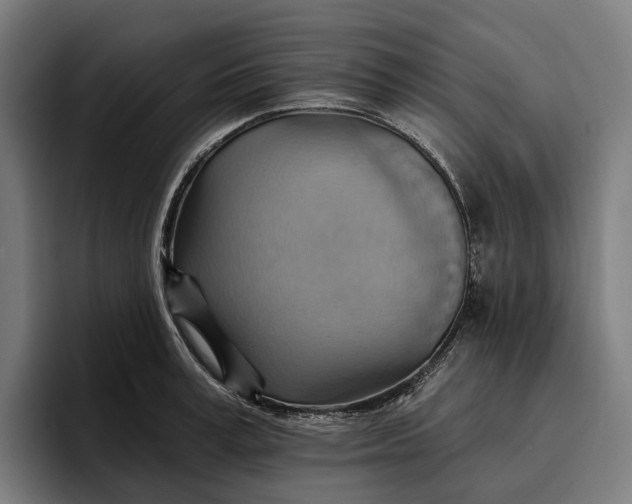 X0000096690995200802191424