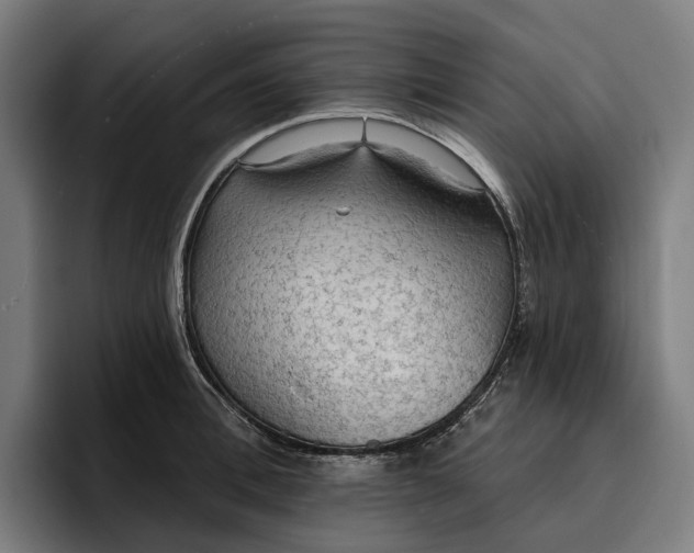 X0000096690996200802191424