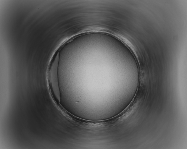 X0000096690997200802191424