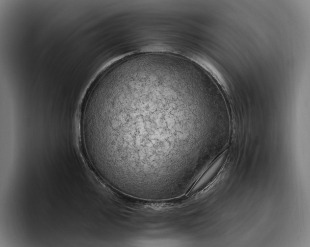 X0000096691000200802191424