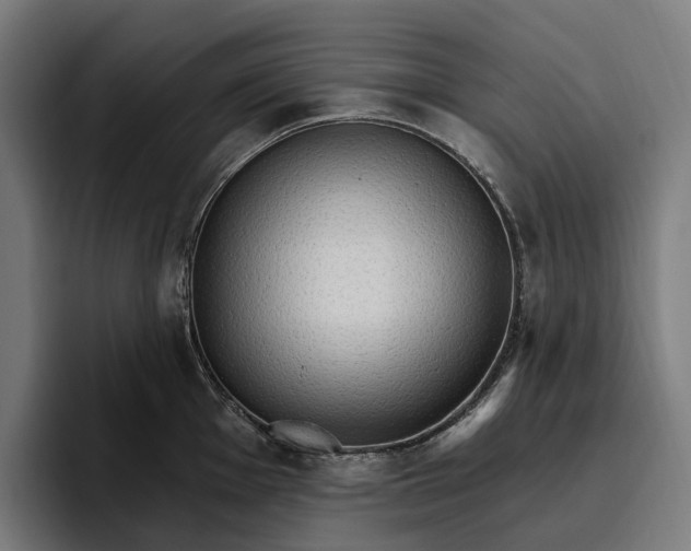 X0000096691001200802191424