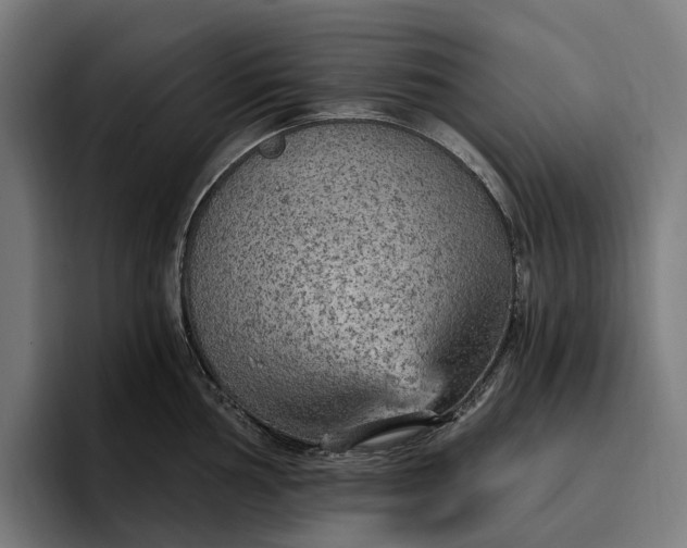 X0000096691002200802191424