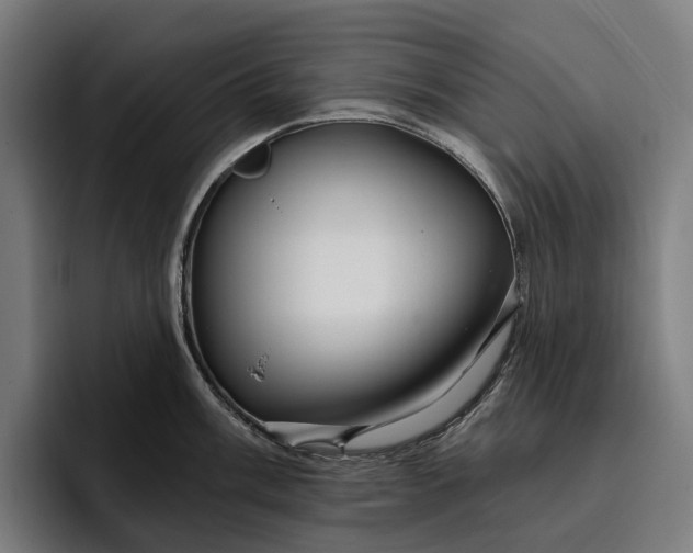 X0000096691003200802191424