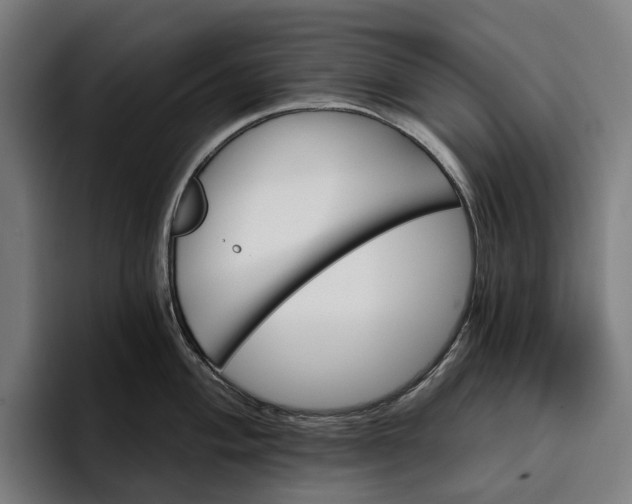 X0000096691004200802191424