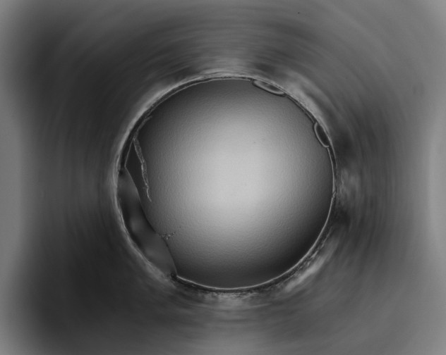 X0000096691005200802191424