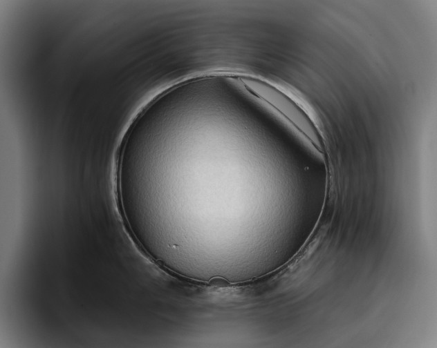 X0000096691006200802191424