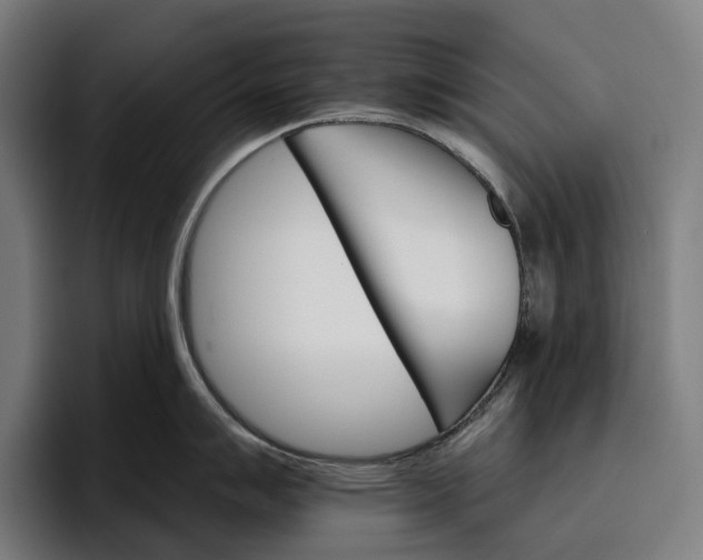 X0000096691007200802191424