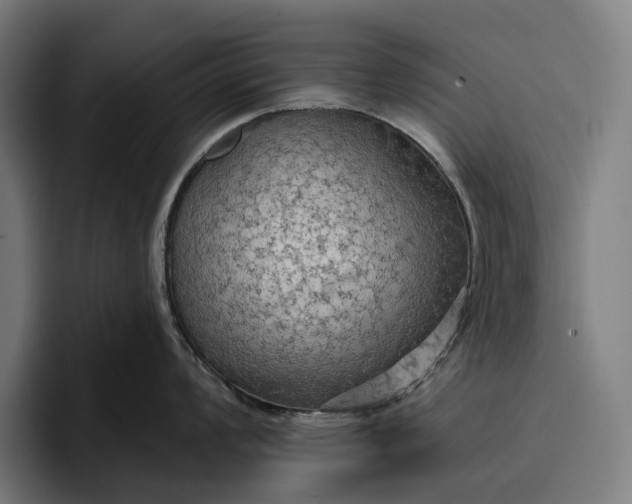 X0000096691008200802191424