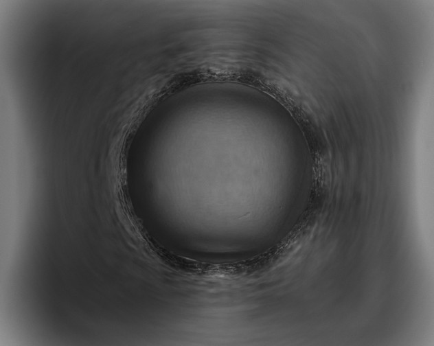 X0000096691009200802191423